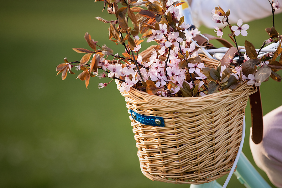 Spring Mini Prop Spring Mini Prop
