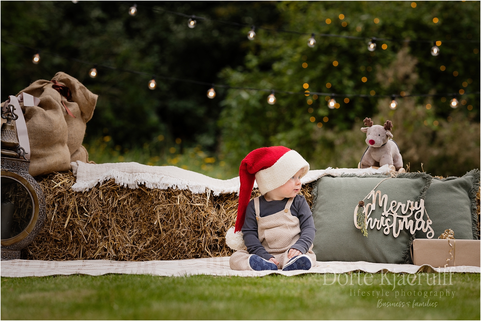 Christmas mini photography Leicestershire outdoors Christmas mini photography Leicestershire outdoors