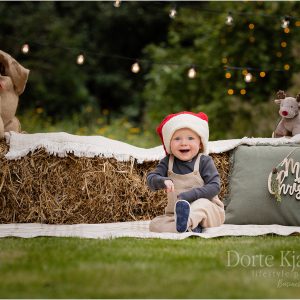 Christmas Garden 11th Nov. 2023