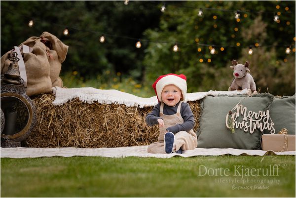 Christmas Garden 11th Nov. 2023